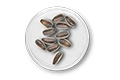 Vitamin B5 (Pantothenic Acid)